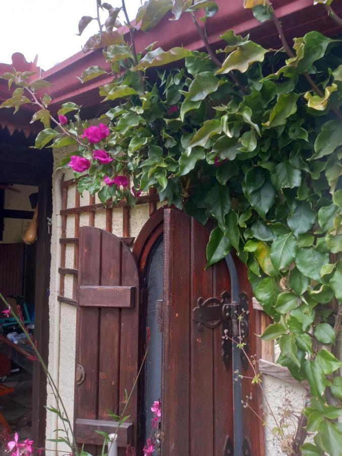 Sunday 2Br Welcome Stay Private Holiday House In Chalkidiki - Close To Karydi Beach Vourvourou Exteriör bild